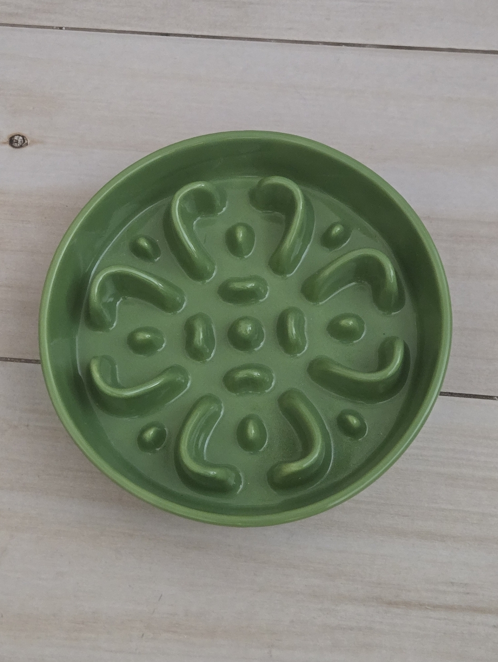 Ceramic Slow Feeder Bowl